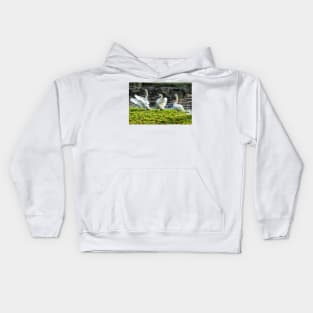 Three White Swans art - Follow the Leader Kids Hoodie